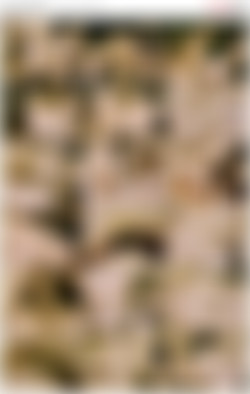 School Girls In Heat 2/scin/School_Girls_In_Heat_2__scene_5__480p.mp4.jpg